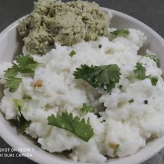 A picture of Curd Rice with coconut dry chutney.