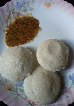 A picture of Kodo millet idli (Varagu idli).