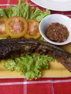 Foto resep Lele Goreng Bumbu Simple