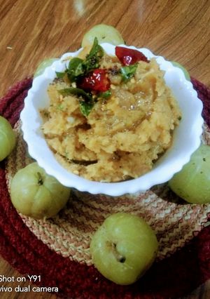 A picture of Amla Garlic Chutney.