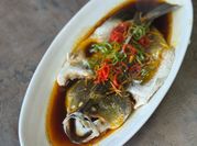 Gambar ikan stim sos tiram