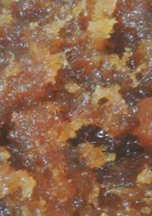 Foto resep Slai Nastar