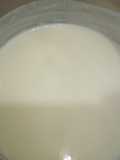 Salsa blanca (bechamel)