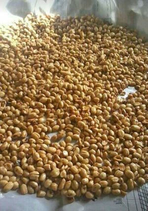 Foto resep Kacang bawang