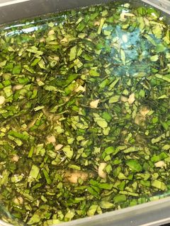 杏仁九層塔青醬/無調味 的食譜成品照片