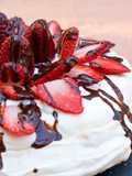 Pavlova