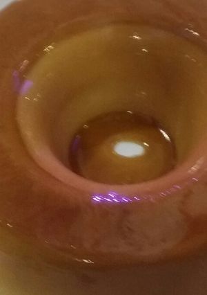A picture of Caramel pudding.