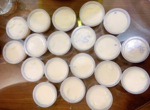 Hình của món Bánh plan phô mai.