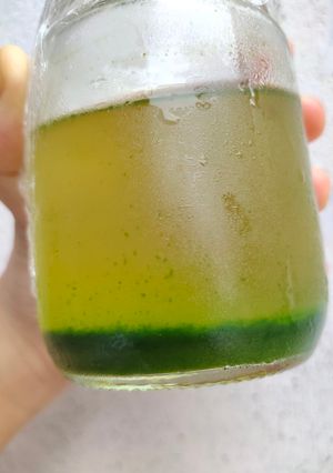 Foto resep Endapan Pandan 🍃🌿