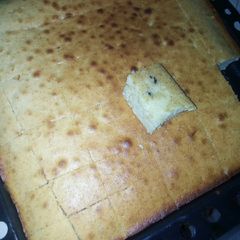 Oil cake A picture of Oil cake.