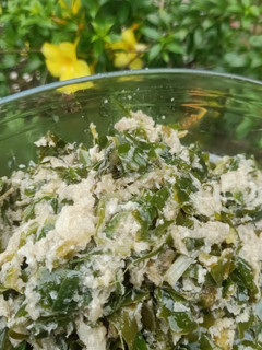 Foto resep Urap daun kencur muda