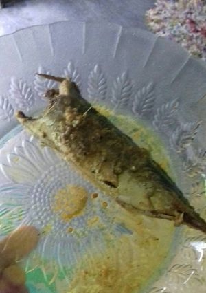 Foto resep Ikan tongkol buatan ibu😍😍😍