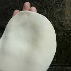 รูปของ Kulit gyoza/pangsit/dumpling