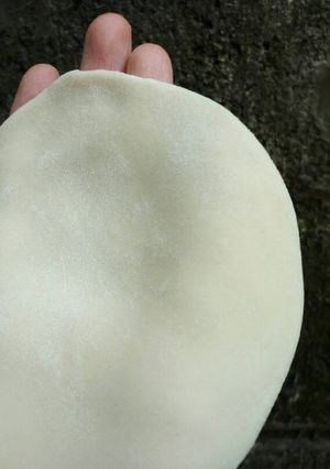 Foto resep Kulit gyoza/pangsit/dumpling