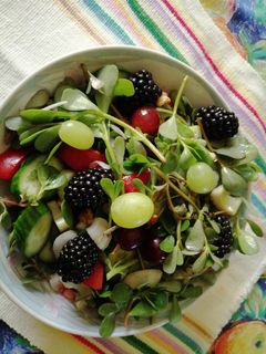 Una foto de Ensalada de verdolagas