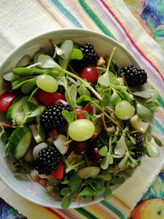 Una foto de Ensalada de verdolagas