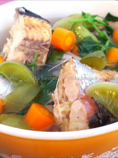 Foto resep Sop Ikan Patin Segar