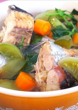 Foto resep Sop Ikan Patin Segar