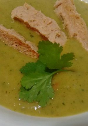 Foto principal de Crema de verduras, soja texturizada, cilantro y perejil enriquecida con Agua de Mar