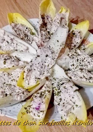 Une photo de Rillettes de thon au Cook Expert