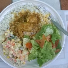 A picture of Chicken Curry and Green salad.