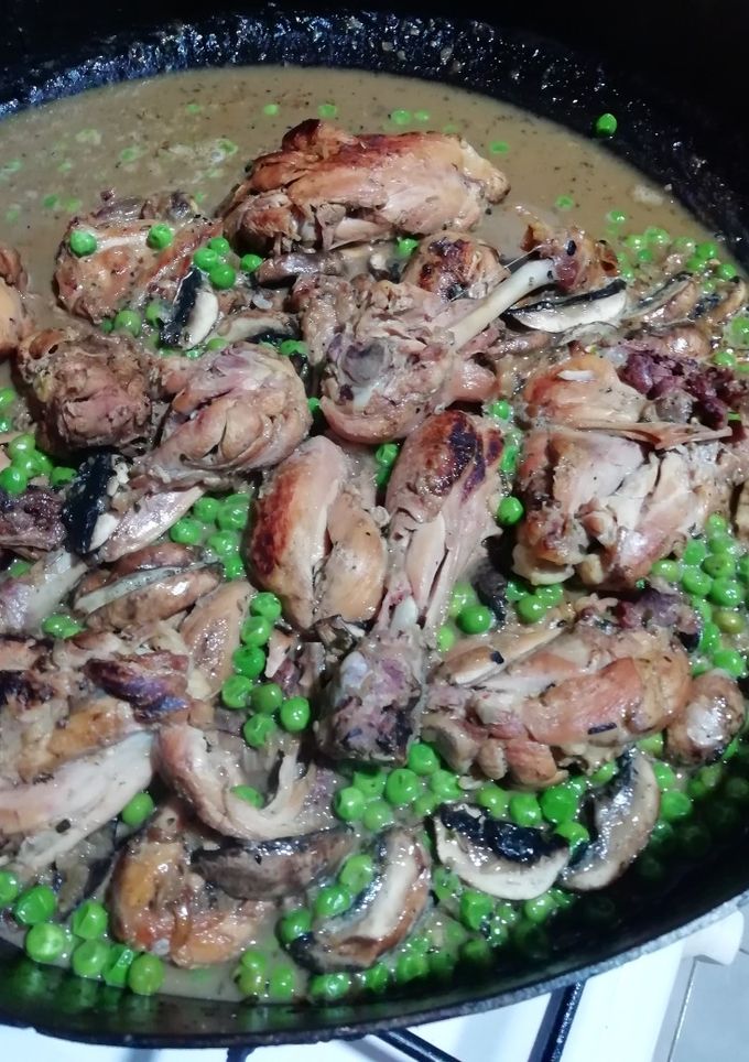 Una foto de Pollo al disco