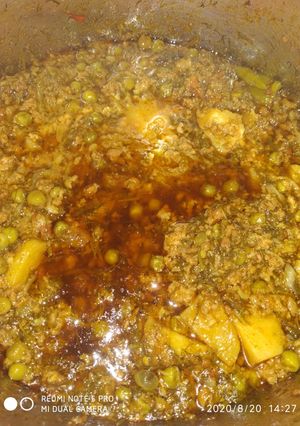 A picture of Soya keema.