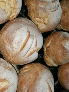 Una foto de Pan de campo