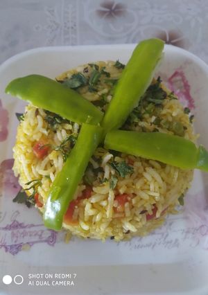 વેજ. બિરયાની (Veg. Biryani Recipe In Gujarati) રેસીપી મુખ્ય ફોટો