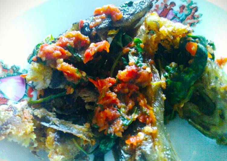 Resep LeLe goreng kriuk sambel kemangi Anti Gagal