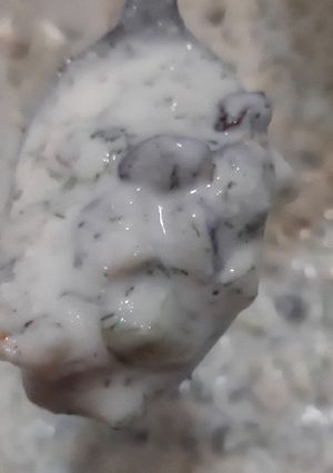 عکسی از دستور آب دوغ خیار
