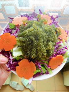 Hình của món Salad rong nho sốt mè rang.