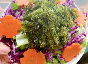 Hình của món Salad rong nho sốt mè rang.