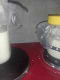 Masa madre (fermento natural)