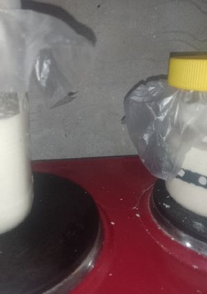 Una foto de Masa madre (fermento natural)