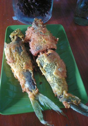 Foto resep Bandeng Presto