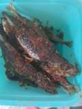 Sambal ikan dencis