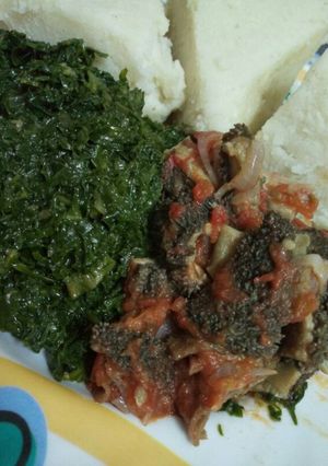 A picture of Stripes(matumbo) with greens and ugali.