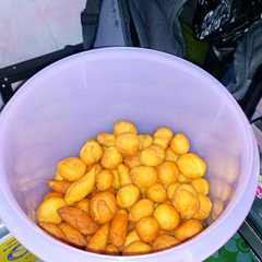 A picture of Bola2 singkong.