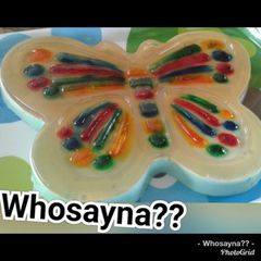 A picture of Whosayna’s Wonder Butterfly Pudding.