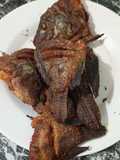 Ikan nila goreng