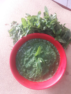 ફૂદીના ચટણી(Mint chutney in Gujarati) રેસીપી મુખ્ય ફોટો