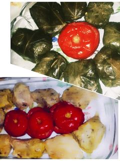 عکسی از دستور دلمه