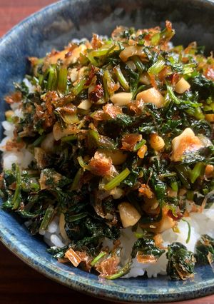 A picture of Stir-fried Coriander & Katsuobushi (Bonito Flakes).