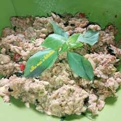 Botok Dage Tumis রেসিপির প্রধান ছবি