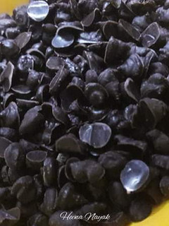 ચોકલેટ ચીપ્સ (Chocolate Chips Recipe In Gujarati) રેસીપી મુખ્ય ફોટો