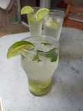 Mojito playero