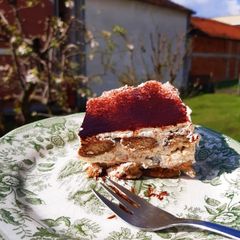 Tiramisu A picture of Tiramisu.