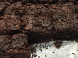 Brownies panggang original