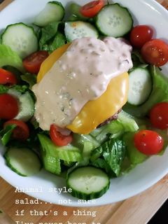 A picture of Animal Style Salad.